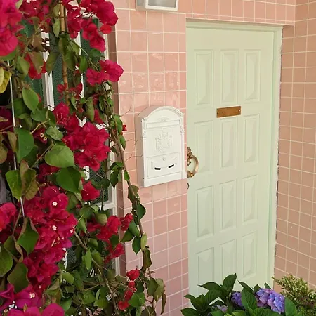 Casa Buganvilia Homestay